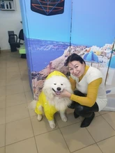 Jumpsuit Jacket Pet-Cloak Rain-Coat Labrador HOOPET Golden Retriever Waterproof Dogs