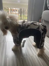 Coat Jacket Puppy Pet-Dog French Bulldog Small Dogs Waterproof Winter Super Cotton 