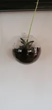 Transparent Glass Vase Flower-Pot Potted-Plant Wall-Hanging Terrarium-Fish-Tanks Hydroponic