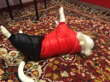 Jacket Bulldog-Clothing Pet-Coat Puppy Dogs Pug Chihuahua French Waterproof Winter Small