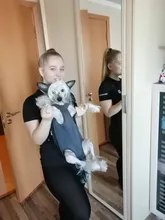 Dog-Carrier-Bag Dog-Backpack Puppy Kangaroo Travel Breathable Out Benepaw Front 6-Colors