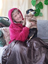 Led Headlamp Torch Flashlight Zoom Rechargeable