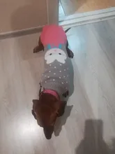 Dog Winter Sweater Pet-Dog Puppy-Cat Knitted Chihuahua for Small Clothing Ropa-Perro