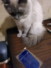 Alfombrilla antideslizante para teléfono móvil, accesorios de Interior antideslizantes para automóvil, mp3mp4, GPS, 1 Uds.