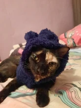 Ropa de Gato caliente para mascotas, abrigo, chaqueta para perros pequeños, medianos, gatos, Chihuahua, ropa de Yorkshire, disfraz rosa, S-2XL