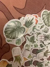Lote de 45 unidades de adhesivos de menta para plantas, adhesivos de papelería Diy para álbum de recortes, diario, planificador, pegatina para diario, etiqueta decorativa para niños