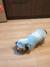 Traje para mascotas pequeñas y medianas, mono para cachorros, ideal para bulldog francés, chihuahua o pug