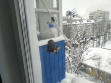 Bird-Feeder Hanging-Bird Garden-Decoration Outdoor-Decor Handmade Vintage Villa Tooarts