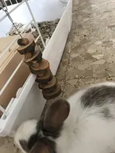 Wooden Hanging Exercise Chinchilla Pet Supplies Chew Toy Guinea Pigs For Hamster Rabbit