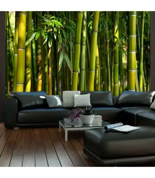 

Photo mural-a bamboo forest in Asia