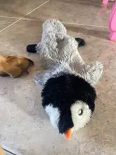 Juguetes de peluche divertidos para mascotas, zorro, León, conejo suave, pequeño, mediano, masticable para perros, accesorios para mascotas