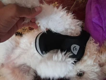 Dog-Harness Vest Lead Leash Pet Reflective Adjustable Small Medium Dog Walking Summer