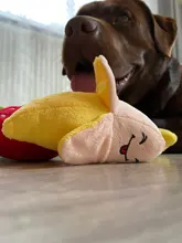 Toy Plush-Toy Pet-Supplies Cloud-Shaped Funny Cartoon Star for Dogs