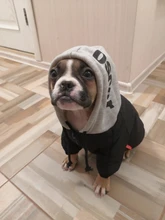 Jacket French Bulldog Dog Winter SUPREPET Coat Pet-Dog Dogs Large Cotton for Warm Perro