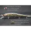 wLure Minnow Crankbait Hard Bait Tight Wobble Slow Sinking Jerkbait Lifelike RealSkin Painting  Fishing Lure HM262S ► Photo 2/6