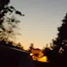 C***n