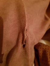 Túnel para cama de gato, tubo extraíble plegable para mascotas, juguetes interactivos con bolas de felpa para cachorros