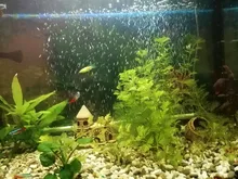 Accesorios de bomba de aire para acuario, tubo de burbujas de aire de oxígeno para tanque de peces, burbujas de pared, hermoso paisaje de agua, tubo de aire necesita bomba