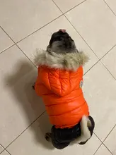 Jacket Bulldog-Clothing Pet-Coat Puppy Dogs Pug Chihuahua French Waterproof Winter Small
