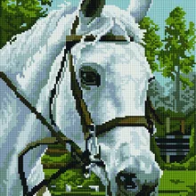 Алмазная мозаика EF 448 Белая лошадь 30*40