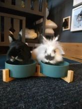 Ceramic Dog Bowl Pet Feeder Goods For Dogs Cats Puppy Food Water Container Storage Waterer