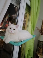Pet Cat Hammock Bearing Seat-Beds Bed-Shelf Window-Seat-Mount Sunny Comfortable Cute