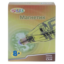 Детский развивающий конструктор Набор научный магнетик