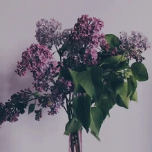 Anillos geométricos de perlas de imitación minimalistas para mujer, joyería para dedo, anillo elástico ajustable a la moda, novedad