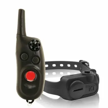 

DOGTRA IQ CLICK training
