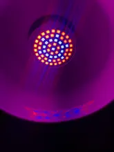 Bombilla Led para cultivo, lámpara de crecimiento hidropónica Phyto B22, E27, MR16 de espectro completo, UV de 220V, planta E14, plantones de flores Fitolamp GU10