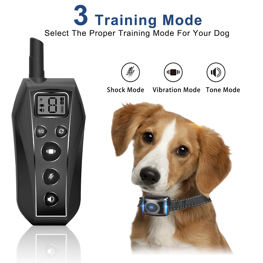 small dog training collars
