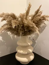 Pampas-Grass Reed Flower Wedding-Decoration Bunch Light-Color Natural Dried Christmas