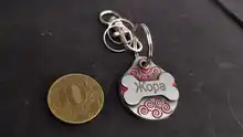 Collar con etiqueta de identificación personalizada para perro y gato, accesorios, grabado personalizado, colgante de acero inoxidable con Nombre de mascota para perros y gatos, doble cara