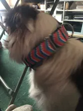 Personalized Fabric Super Strong Durable Martingale Collars for Dogs Heavy Duty Duty