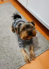 Clothing Sweater Pet-Outfit Small Dogs Classic Soft Winter For Dog Chihuahua Ropa Perro