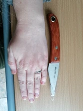 Huertos profesionales para plantar plantas, 1 Uds., cuchillo para podar, herramientas de jardinería para cortar, envío rápido, no plegable