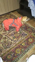 Hoodies Coat Clothing Puppy-Outfit Pet-Dog-Jacket HOOPET Dogs Chihuahua Winter Warm 