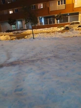 Pendientes de árbol de la vida para mujer, aretes de Color plata, pendientes de Francia para mujer, aretes con gancho para la oreja, joyería cabujón de cristal