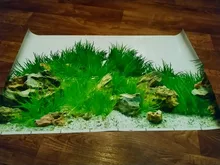 Aquarium Landscape Backdrop Sticker Poster Fish-Tank Sea-Plants 3D Double-Sided-Ocean