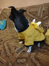 Overalls Sweaters Jacket Pet-Costume Yorkies Dogs Coat Small 