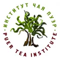 Puer Tea Institute Store