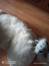 Hair-Removal-Comb Combs Pet Long-Hair Dogs Fur-Trimming-Tools Scattered for Cats And