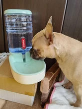 Water-Bottle-Bowl Drinking-Bowl Water-Dispenser Feeder Puppy-Cat Dogs Travel Outdoor