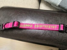 Dog-Collar Reflective Nylon Embroidered Airuidog Personalized Padded Adjustable