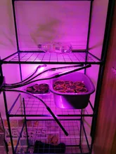 LED Grow Light USB Phyto Lamp Full Spectrum Grow Tent Complete Kit Phytolamp for Plants
