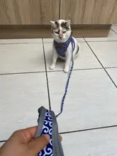 Vest Leash-Set Collar Dog-Harness Cat Japanese-Style Walking Lead Outdoor 
