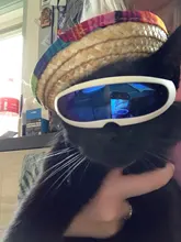 1PC divertido gafas de sol para gafas para gato cachorro ojo-Protección contra el desgaste perro gafas para Chihuahua Yorkshire gatos y mascotas accesorios