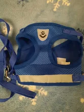 Leash-Set Harness-Leads Puppy Yorkies Reflective Kitten Vest Dogs Small Nylon Mesh And