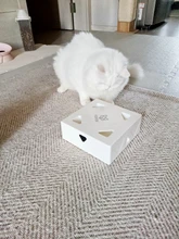 Cat-Toy Cat-Catching-Mouse Magic-Box Crazy-Game Smart-Teasing Interactive Electric MEWOOFUN