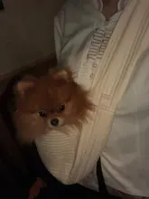 Handbag Tote-Bag Sling Kitten-Carrier Puppy Canvas Pet-Dog Travel Single-Shoulder Outdoor